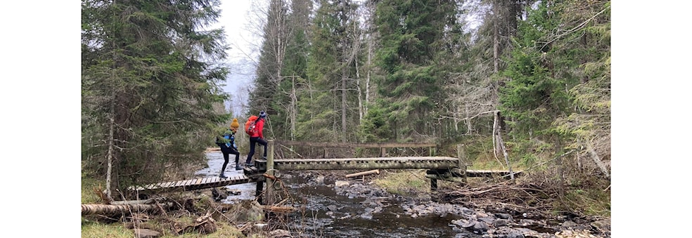 Expedition trip around DNT Smedmyrkoia - Open for all